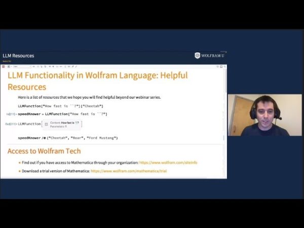 Programmatic Access to LLMs in Wolfram Language